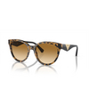 Lunettes de soleil Emporio Armani EA4140 60593B havana yellow - Vignette du produit 2/3