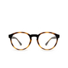 Lunettes de soleil Emporio Armani EA4152 58021W matte havana - Vignette du produit 1/7