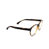 Lunettes de soleil Emporio Armani EA4152 58021W matte havana - Vignette du produit 2/7