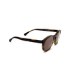 Occhiali da sole Emporio Armani EA4152 58021W matte havana - anteprima prodotto 5/7