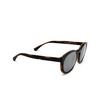 Lunettes de soleil Emporio Armani EA4152 58021W matte havana - Vignette du produit 7/7