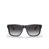 Occhiali da sole Emporio Armani EA4163 58758G black - anteprima prodotto 1/3