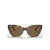 Lunettes de soleil Emporio Armani EA4176 502573 shiny brown havana - Vignette du produit 1/3