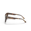 Lunettes de soleil Emporio Armani EA4176 502573 shiny brown havana - Vignette du produit 3/3