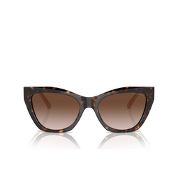 Occhiali da sole Emporio Armani EA4176 587913 shiny havana