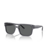 Emporio Armani EA4197 Sunglasses 502987 transparent grey - product thumbnail 2/3