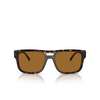 Emporio Armani EA4197 Sunglasses 587983 havana - product thumbnail 1/3