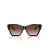 Lunettes de soleil Emporio Armani EA4203U 502613 shiny havana - Vignette du produit 1/3