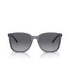 Lunettes de soleil Emporio Armani EA4206D 5029T3 shiny transparent grey - Vignette du produit 1/3