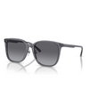 Lunettes de soleil Emporio Armani EA4206D 5029T3 shiny transparent grey - Vignette du produit 2/3