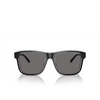 Lunettes de soleil Emporio Armani EA4208 605187 shiny black / top crystal - Vignette du produit 1/3