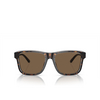 Emporio Armani EA4208 Sunglasses 605273 shiny havana / top crystal - product thumbnail 1/3