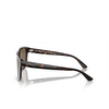 Lunettes de soleil Emporio Armani EA4208 605273 shiny havana / top crystal - Vignette du produit 3/3