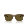 Emporio Armani EA4208 Sunglasses 605573 shiny green / top brown - product thumbnail 1/3