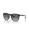 Lunettes de soleil Emporio Armani EA4210 500111 matte black - Vignette du produit 2/3