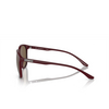 Lunettes de soleil Emporio Armani EA4210 526173 matte bordeaux - Vignette du produit 3/3