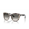 Lunettes de soleil Emporio Armani EA4214U 605811 shiny havana cream - Vignette du produit 2/3