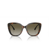 Emporio Armani EA4214U Sonnenbrillen 60608E shiny havana red - Produkt-Miniaturansicht 1/3