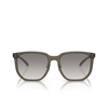 Occhiali da sole Emporio Armani EA4215D 50296I shiny transparent grey - anteprima prodotto 1/3