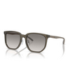 Lunettes de soleil Emporio Armani EA4215D 50296I shiny transparent grey - Vignette du produit 2/3