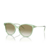 Emporio Armani EA4220 Sunglasses 61078E shiny transparent green - product thumbnail 2/3