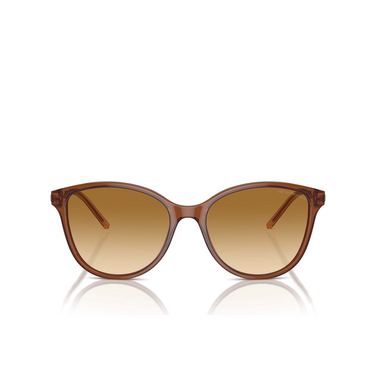 Lunettes de soleil Emporio Armani EA4220 61103B shiny transparent light brown - Vue de face