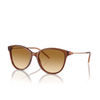 Lunettes de soleil Emporio Armani EA4220 61103B shiny transparent light brown - Vignette du produit 2/3