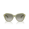 Lunettes de soleil Emporio Armani EA4221 61168E shiny opaline green - Vignette du produit 1/3