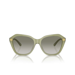 Occhiali da sole Emporio Armani EA4221 61168E shiny opaline green