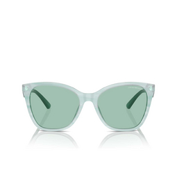 Lunettes de soleil Emporio Armani EA4222U 611271 shiny striped green