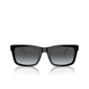 Emporio Armani EA4224 Sunglasses 5017T3 shiny black - product thumbnail 1/3