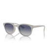 Lunettes de soleil Emporio Armani EA4225U 610087 matte light grey - Vignette du produit 2/3