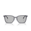 Lunettes de soleil Emporio Armani EA4226D 502987 shiny transparent grey - Vignette du produit 1/3