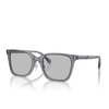 Lunettes de soleil Emporio Armani EA4226D 502987 shiny transparent grey - Vignette du produit 2/3