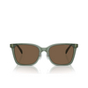 Emporio Armani EA4226D Sunglasses 536273 shiny transparent green - product thumbnail 1/3