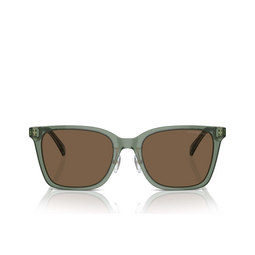 Emporio Armani EA4226D Sunglasses 536273 shiny transparent green