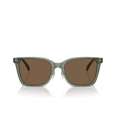 Emporio Armani EA4226D Sunglasses 536273 shiny transparent green - front view