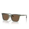 Lunettes de soleil Emporio Armani EA4226D 536273 shiny transparent green - Vignette du produit 2/3