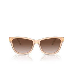 Gafas de sol Emporio Armani EA4227U 609813 shiny opaline tundra