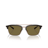 Lunettes de soleil Emporio Armani EA4228 320173 shiny brown / matte pink gold - Vignette du produit 1/3