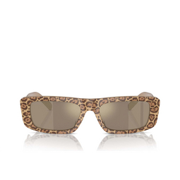 Emporio Armani EA4229U Sonnenbrillen 61195A opaline dark mud