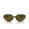 Lunettes de soleil Emporio Armani EA4230U 614873 shiny striped green - Vignette du produit 1/3