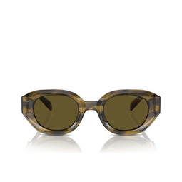 Gafas de sol Emporio Armani EA4230U 614873 shiny striped green