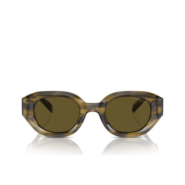 Emporio Armani EA4230U Sonnenbrillen 614873 shiny striped green - Vorderansicht