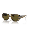 Gafas de sol Emporio Armani EA4230U 614873 shiny striped green - Miniatura del producto 2/3