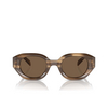 Lunettes de soleil Emporio Armani EA4230U 614973 shiny striped brown - Vignette du produit 1/3