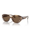 Lunettes de soleil Emporio Armani EA4230U 614973 shiny striped brown - Vignette du produit 2/3