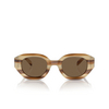 Lunettes de soleil Emporio Armani EA4230U 615073 striped brown - Vignette du produit 1/3