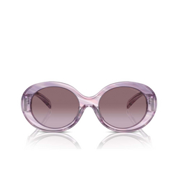 Lunettes de soleil Emporio Armani EA4231U 61558H striped pink