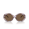 Lunettes de soleil Emporio Armani EA4231U 615673 striped brown - Vignette du produit 1/3